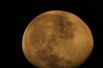 img_7256.jpg